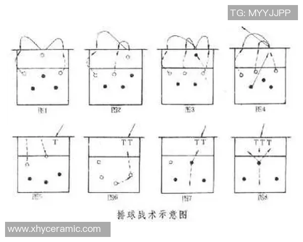 重庆排球队进攻战术解析与球队发展现状探讨