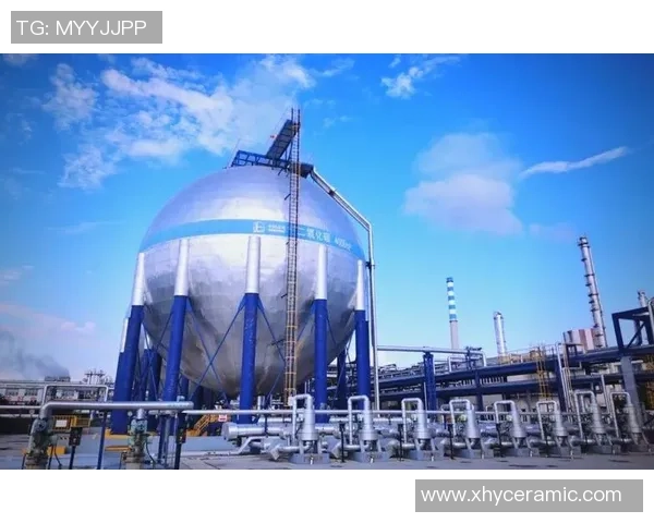 重磅专题：探讨LNG包夹革新对能源市场的深远影响与未来发展趋势